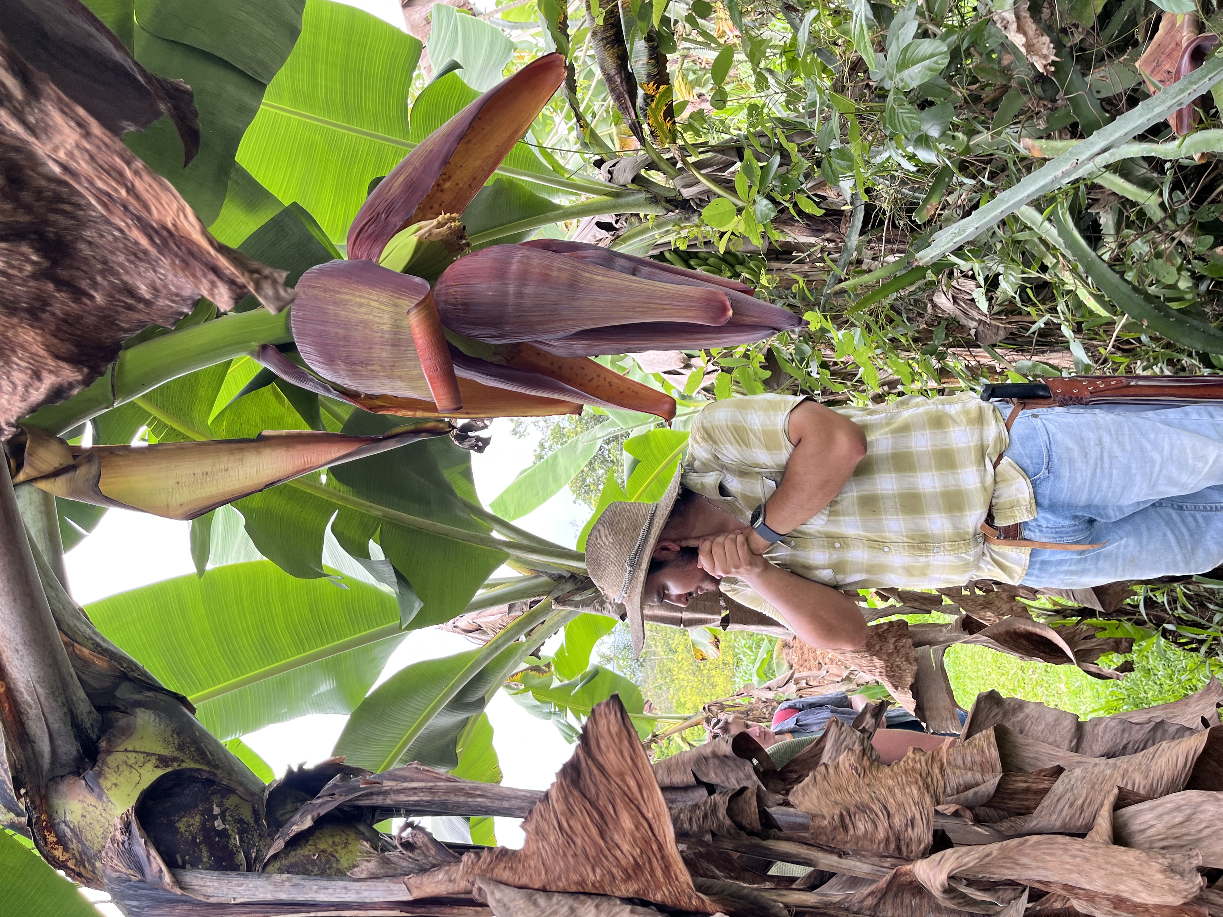 Photo 3-bananas.jpeg